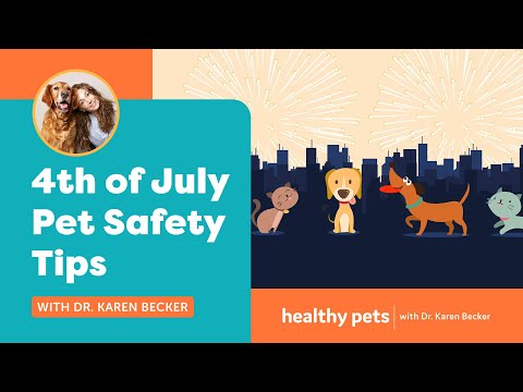 4th of July Pet Safety Tips