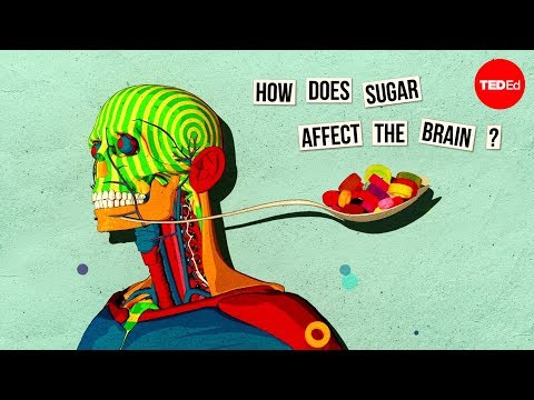 How sugar affects the brain - Nicole Avena