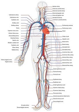 High Blood Pressure Medication Attorney Nashville